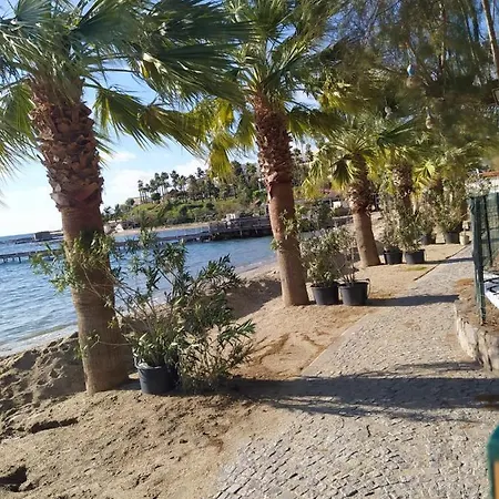 Platin Asarlık * Bodrum